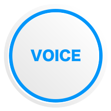 VOICE