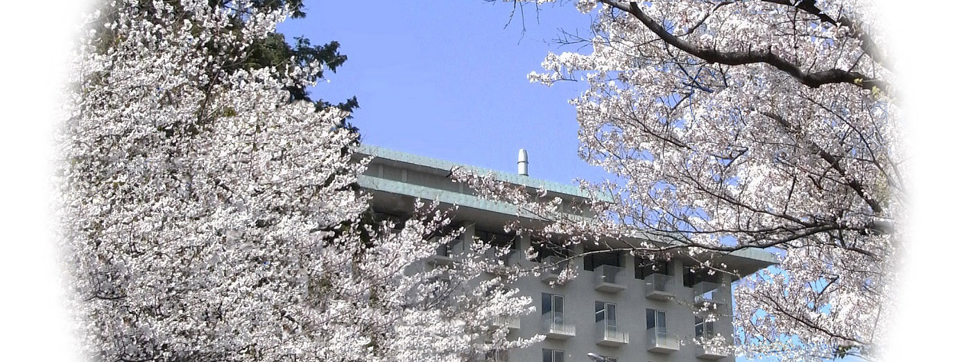 桜の季節